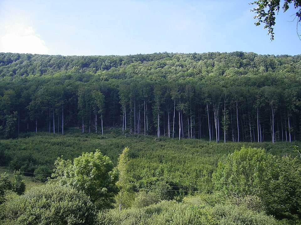 Cyklomagistrála Slovenský kras
