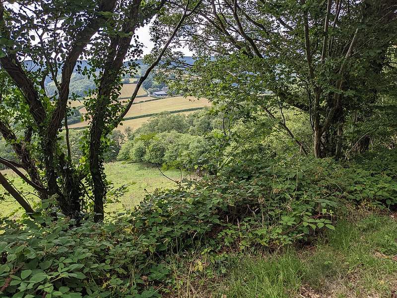 Lôn Las Cymru: Cardiff to Holyhead
