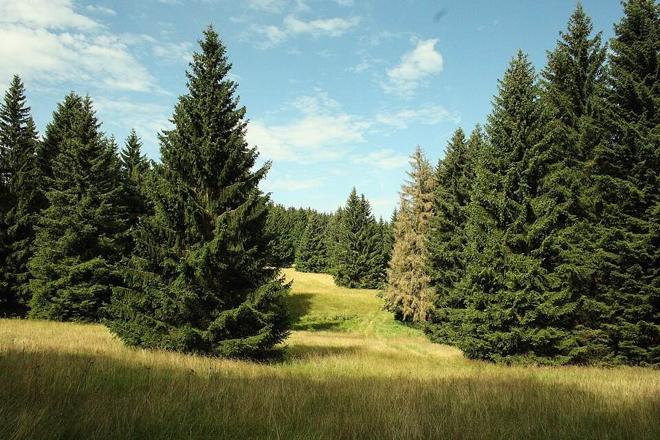 Rennsteig: von Hörschel nach Blankenstein