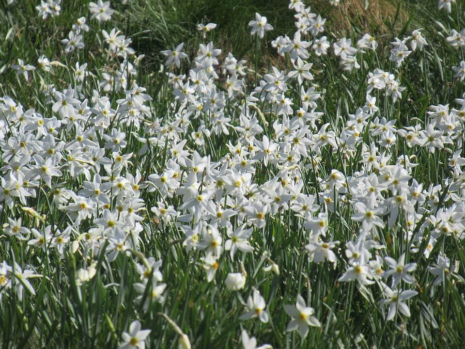Slovenska planinska pot: od Maribora do Ankarana