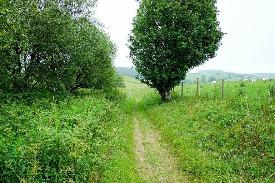 Offa's Dyke Path: Sedbury Cliffs to Prestatyn